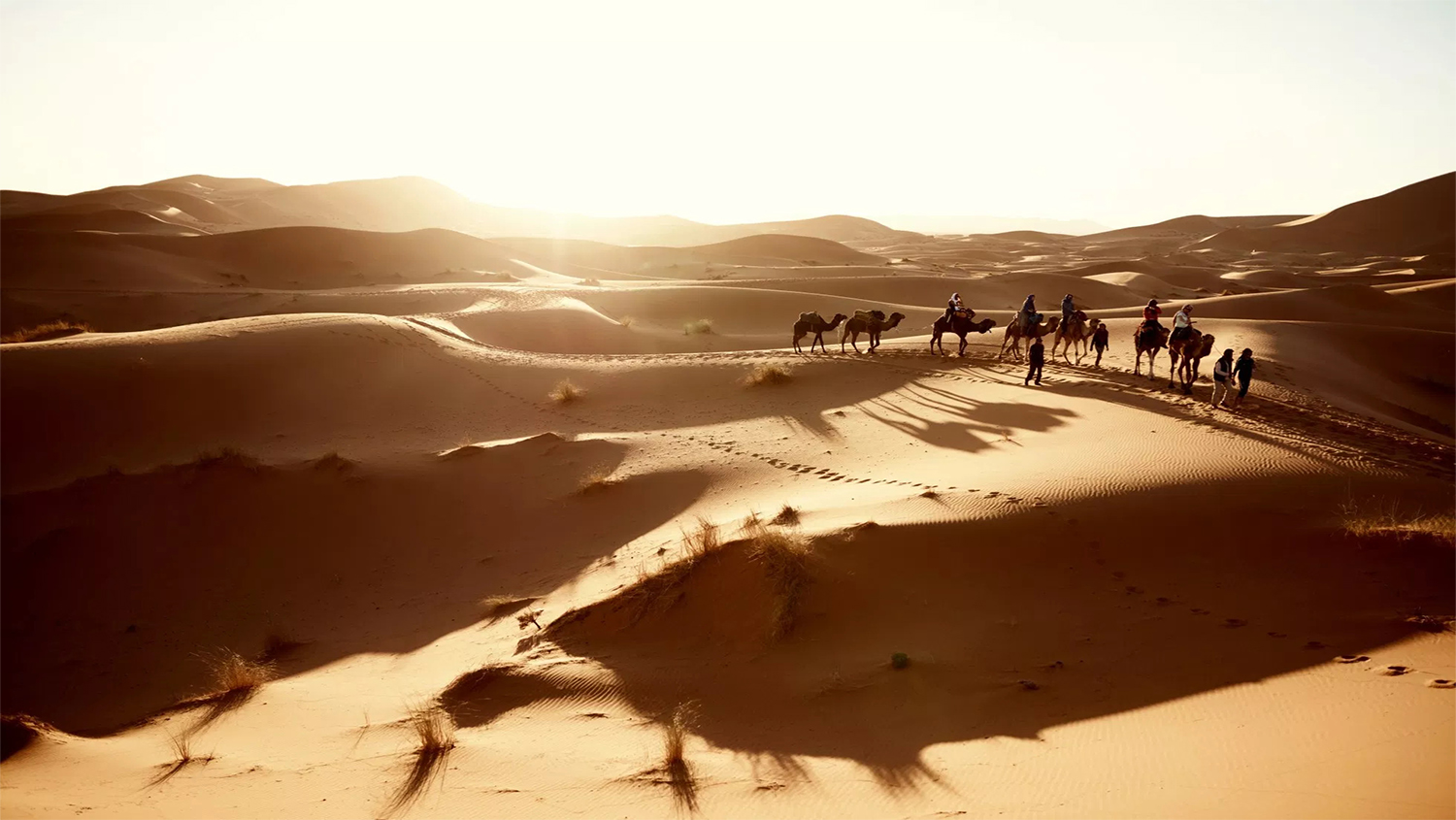 Marrakech Sunset Travel